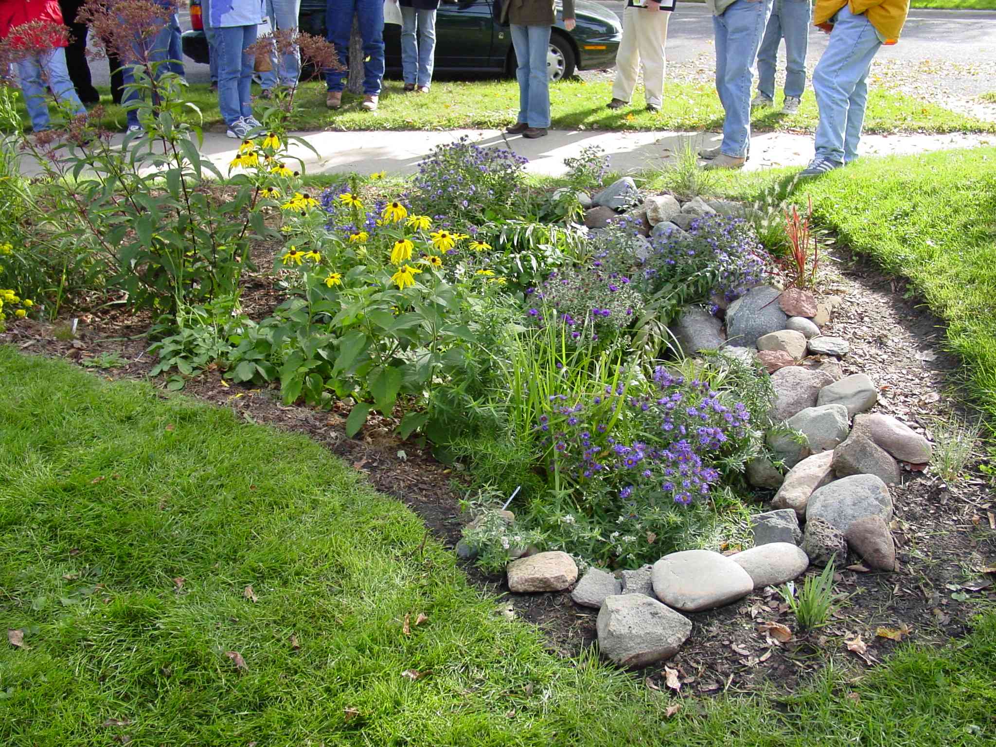 Rain Gardens | Life at HOK