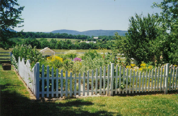 Garden Fence