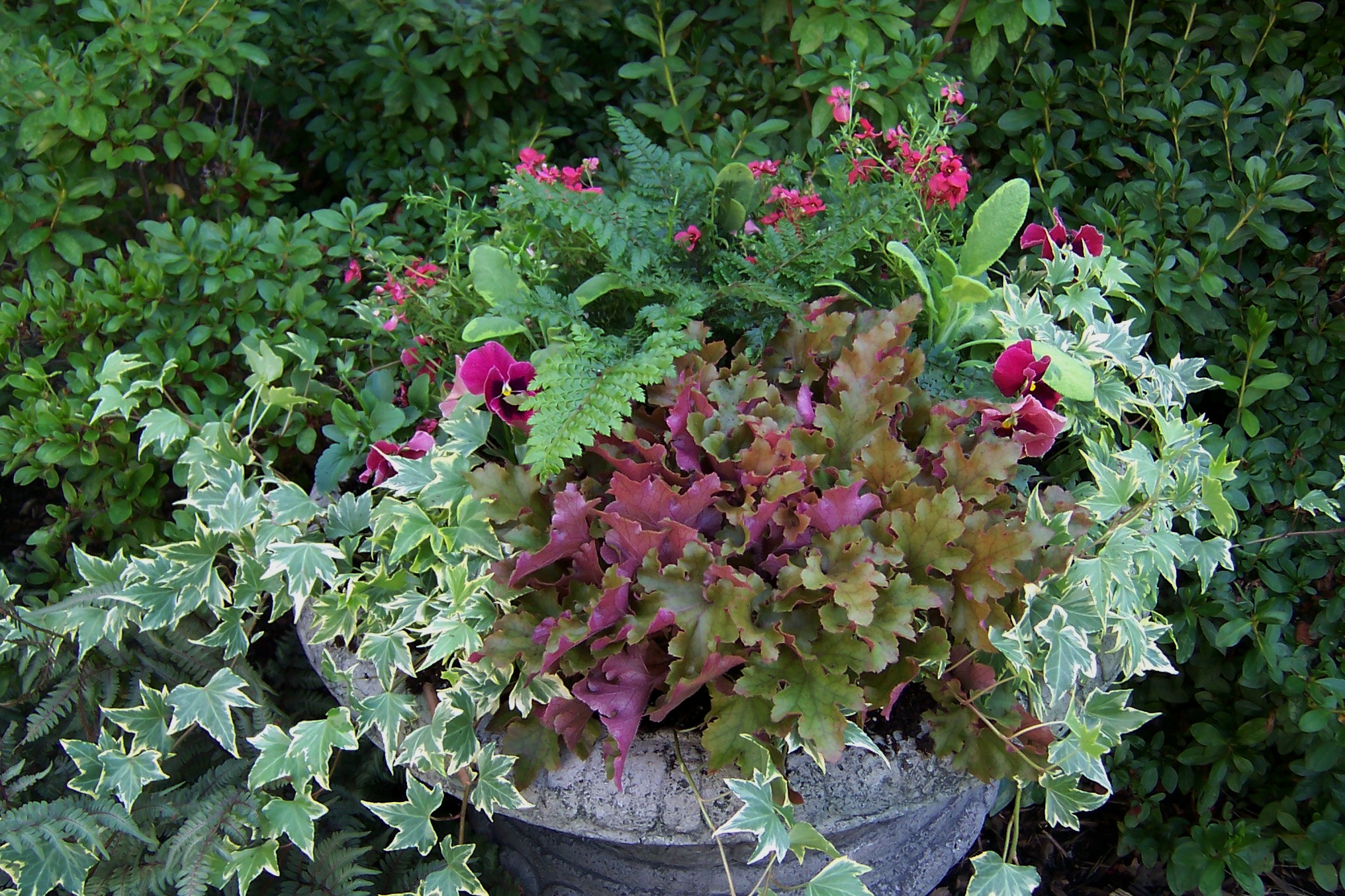 Fall Container Gardening