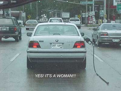 http://www.emmitsburg.net/humor/pictures/2002/woma_driver2.jpg