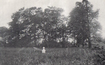 Site of the Alter in the Elder house